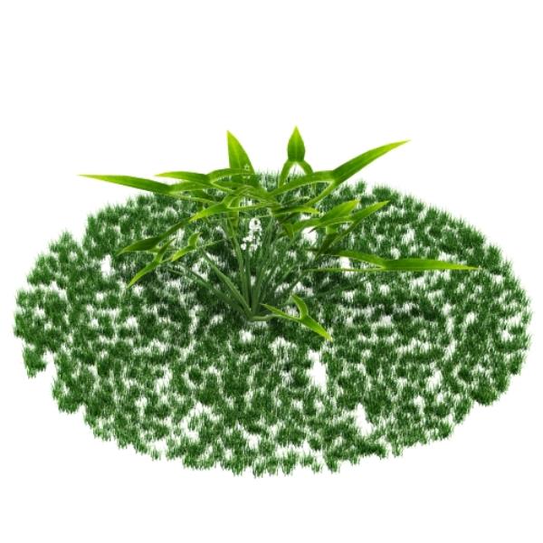 plant 3D Model - دانلود مدل سه بعدی گیاه - آبجکت سه بعدی گیاه - دانلود آبجکت سه بعدی گیاه - دانلود مدل سه بعدی fbx - دانلود مدل سه بعدی obj -plant 3d model free download  - plant 3d Object - plant OBJ 3d models - plant FBX 3d Models - بوته - bush